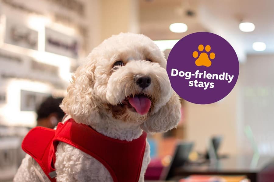 Premier Inn Dubai Al Jaddaf - An Emirates Group Company