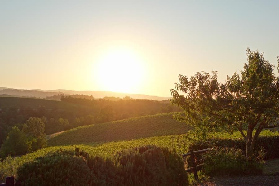 Agriturismo Montegonfoli