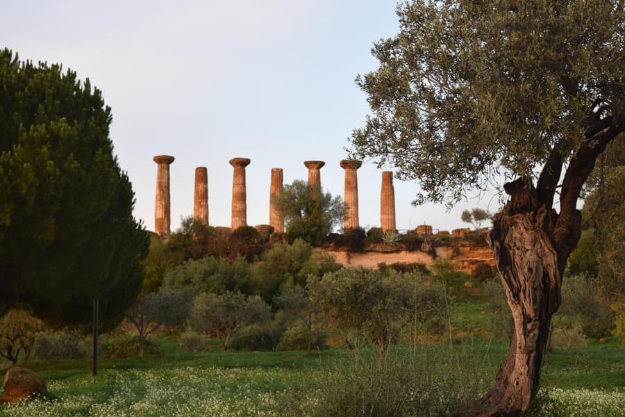 B&B Kolymbetra