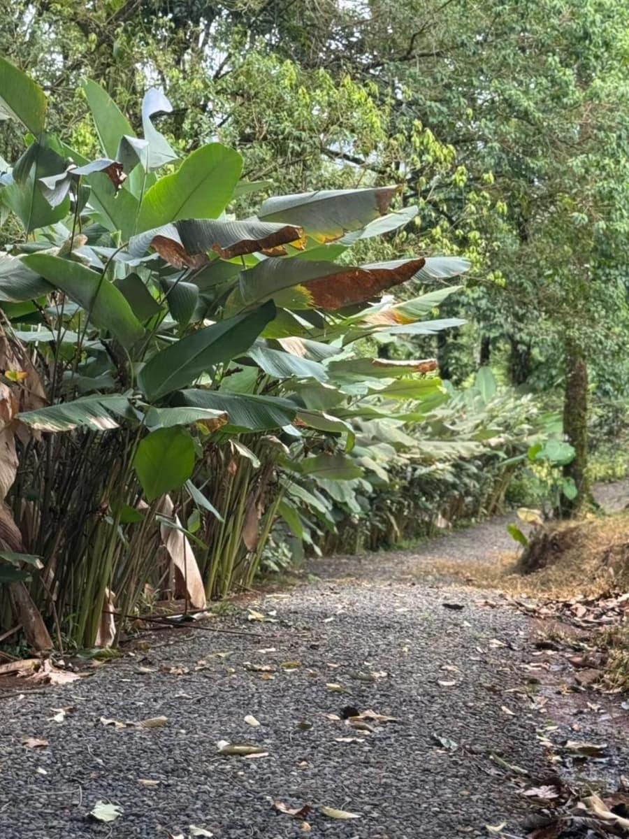 House Rio Celeste Paradise