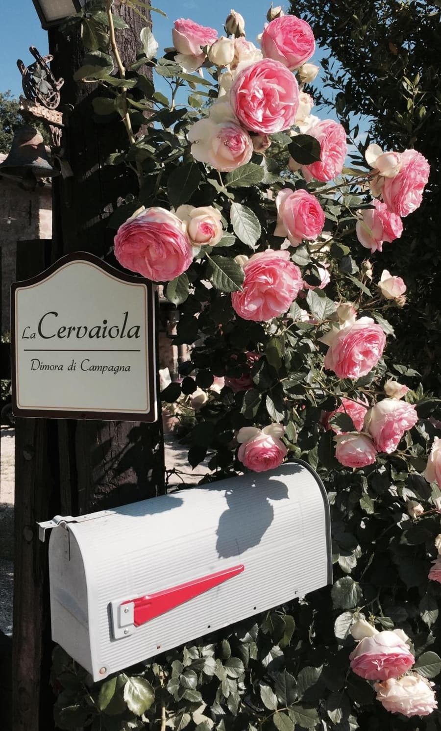 Dimora di Campagna La Cervaiola