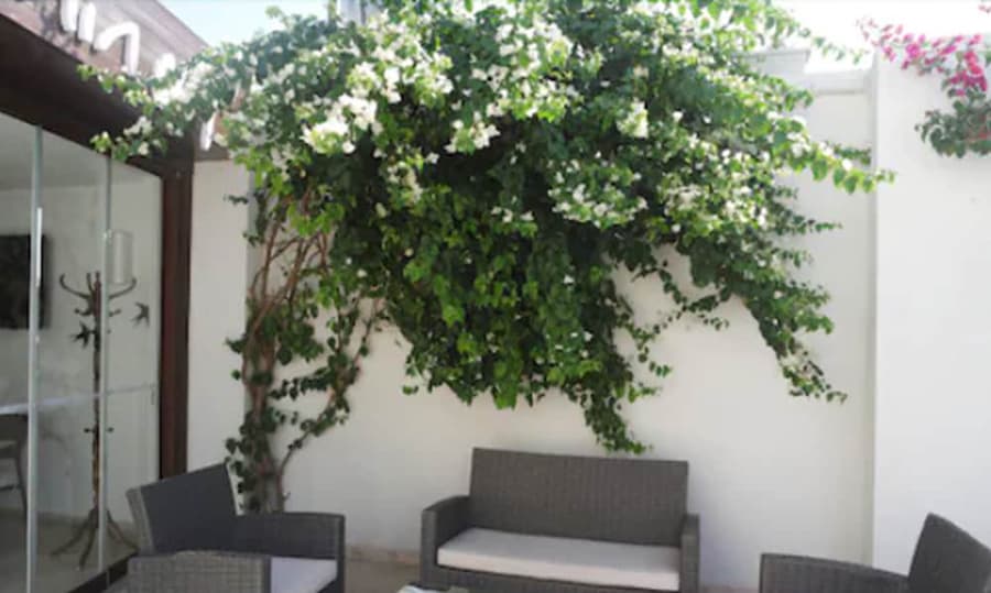 Asmin Hotel