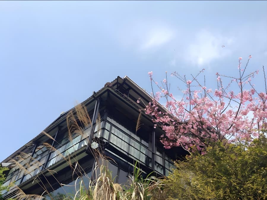 Dang Guei Homestay
