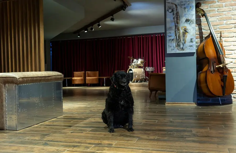 Jazz Hotel